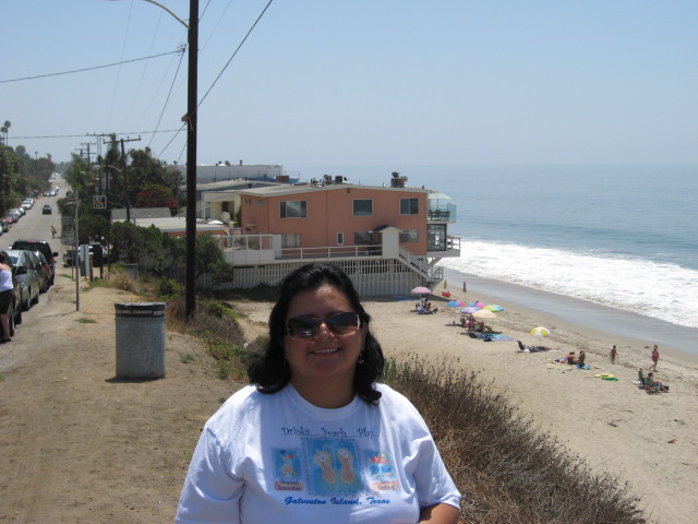 617x456 pixels (101K)